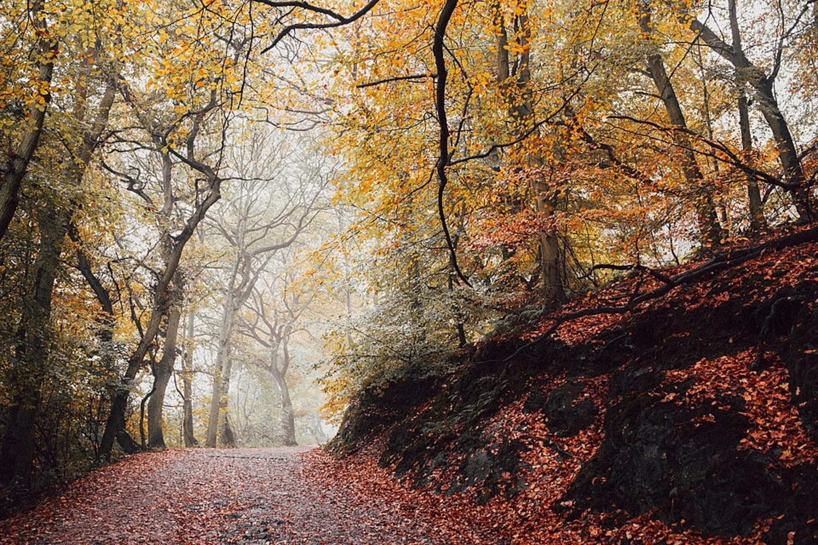 An image depicting the trail The Wrekin Peak and Wrekin Reservoir Loop and its surrounding area.