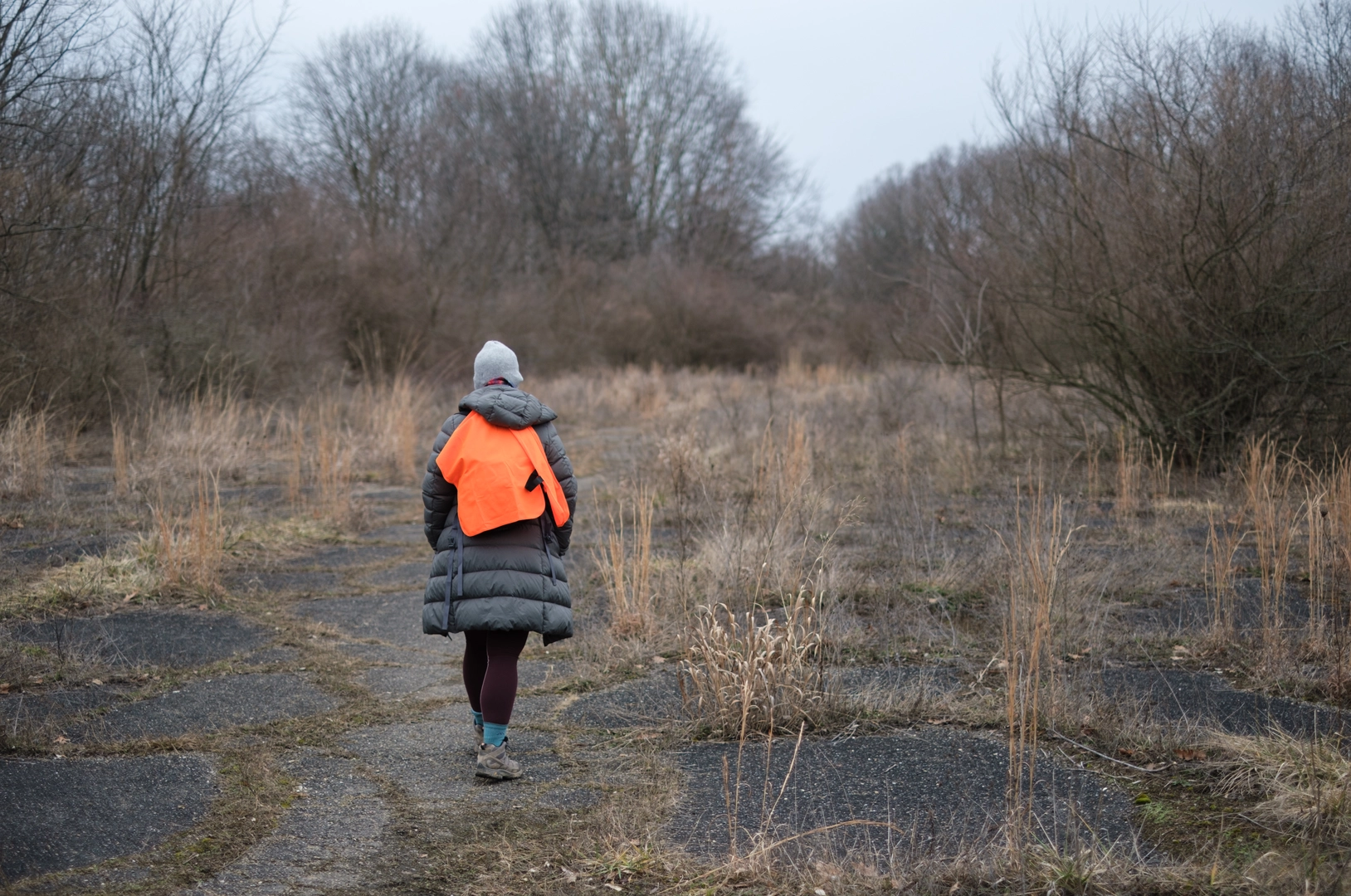 An image depicting the trail Switchback Trail and Abby's Trail Loop and its surrounding area.