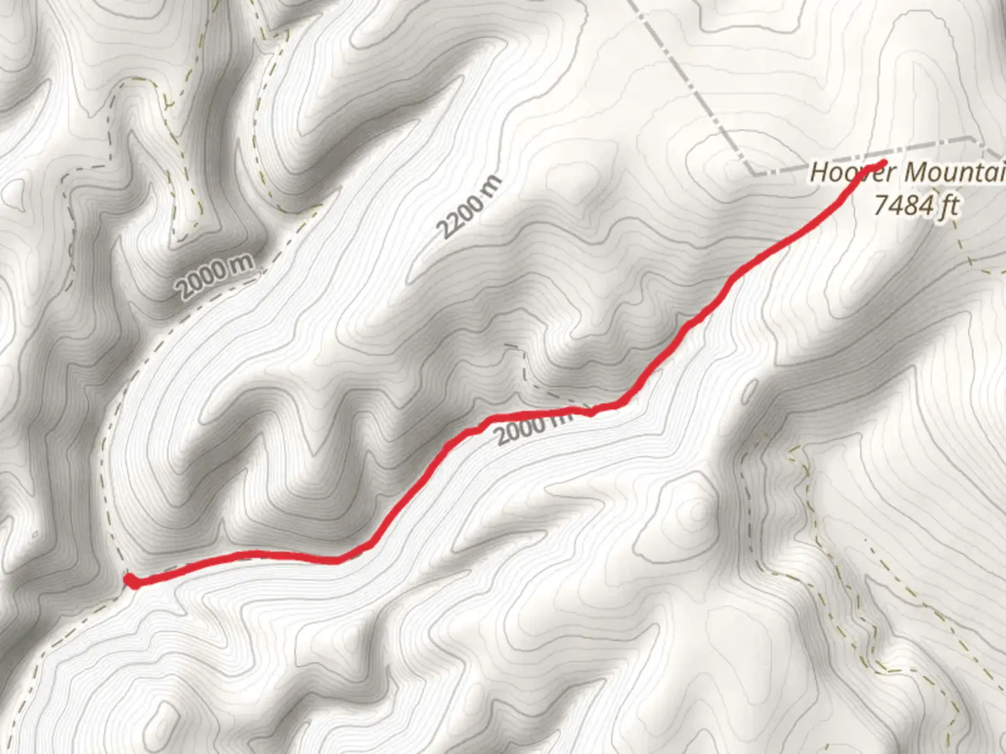An image depicting the trail East Fork Lion Creek Trail and its surrounding area.