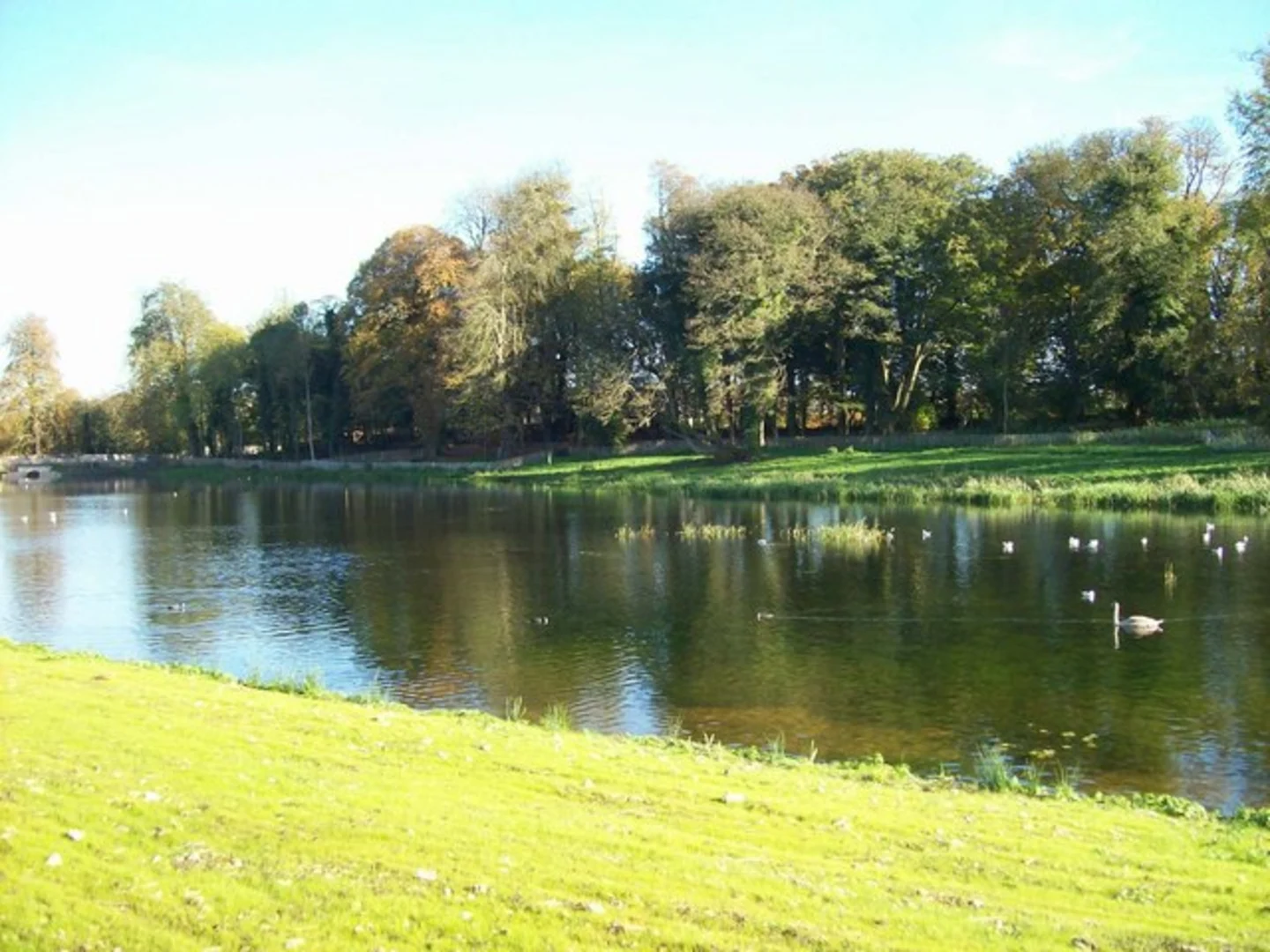 An image depicting the trail Lydiard Park Walk and its surrounding area.