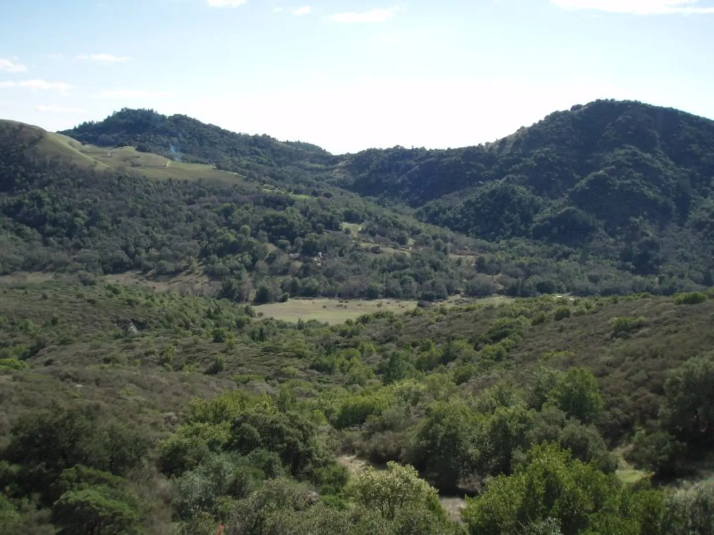An image depicting the trail Creekside Nature Trail and its surrounding area.
