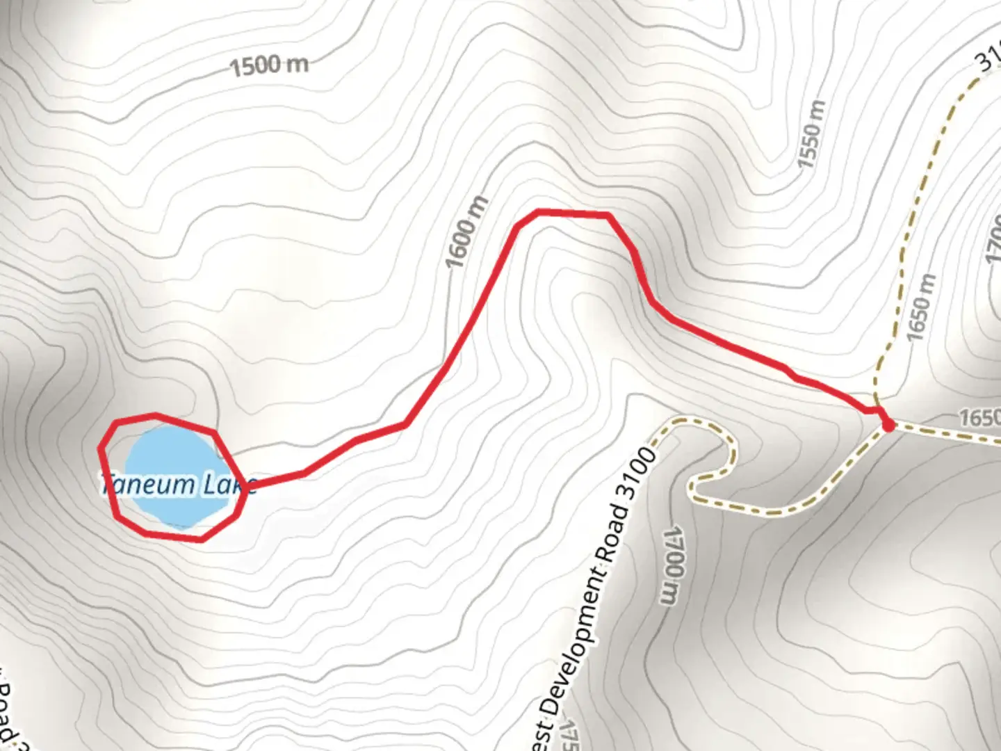 An image depicting the trail Taneum Lake Trail and its surrounding area.