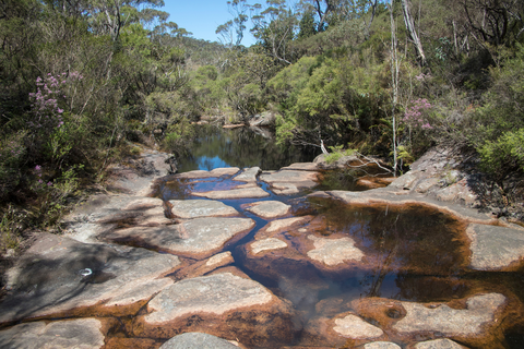 An image depicting the trail Griffiths Track and its surrounding area.