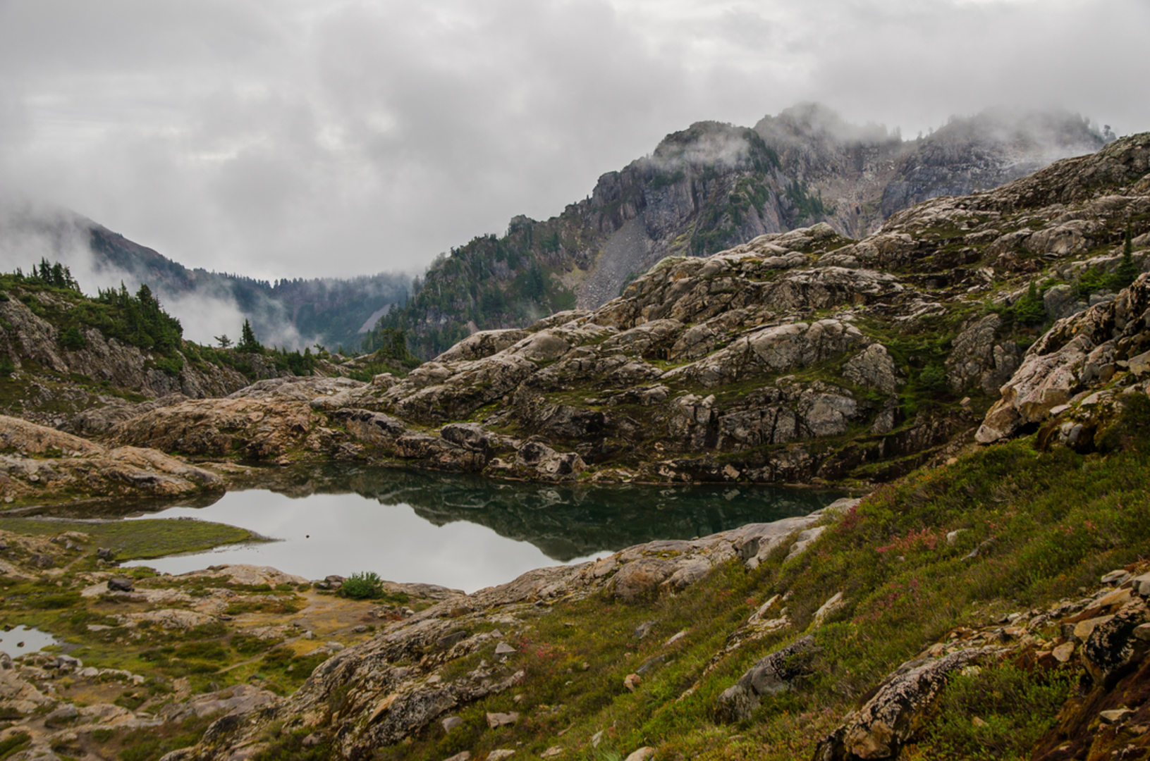An image depicting the trail Barlow Point Trail and its surrounding area.