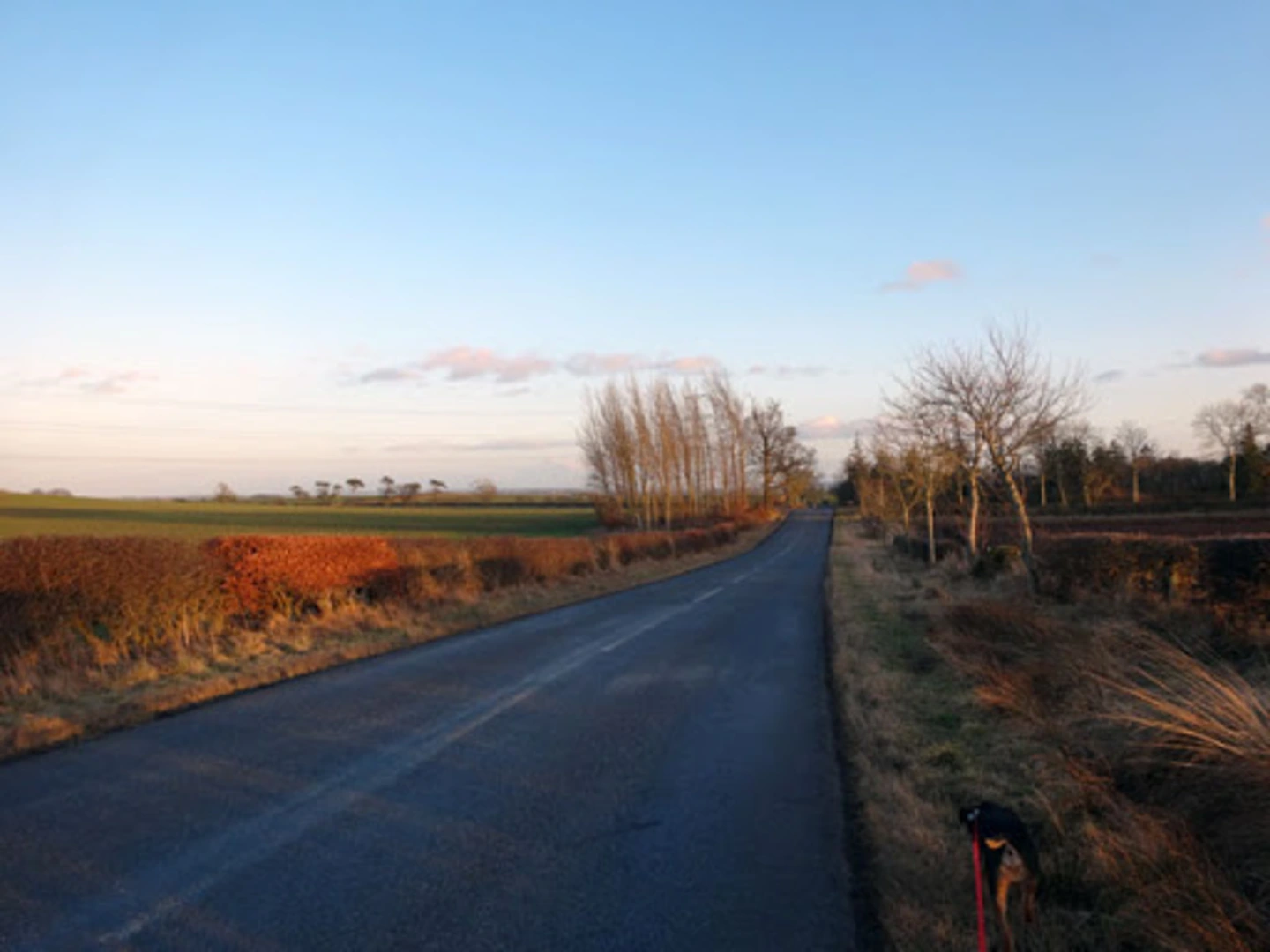 An image depicting the trail Northeast Texas Trail and its surrounding area.