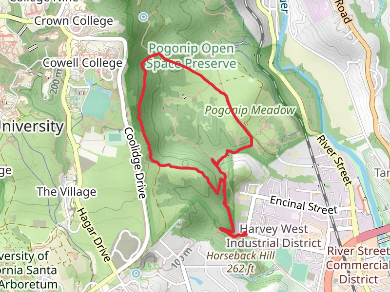 Pogonip Creek Nature and Spring Loop