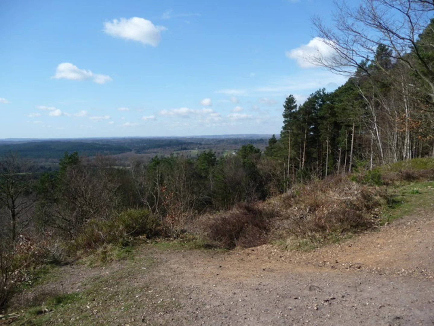 An image depicting the trail Puttenham Common and Crooksbury Hill Loop and its surrounding area.