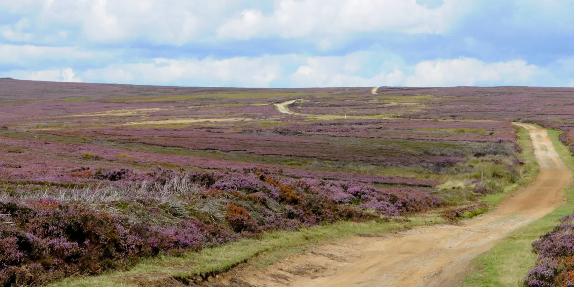 An image depicting the trail Rudland Rigg - Cockayne - Bilsdale East Moor and Bransdale and its surrounding area.