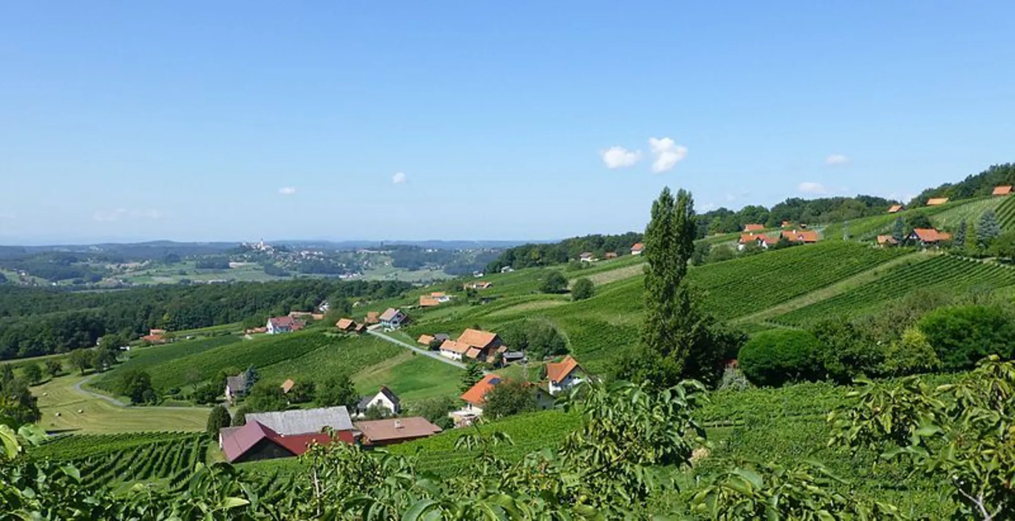 An image depicting the trail Weg der Kunst and its surrounding area.