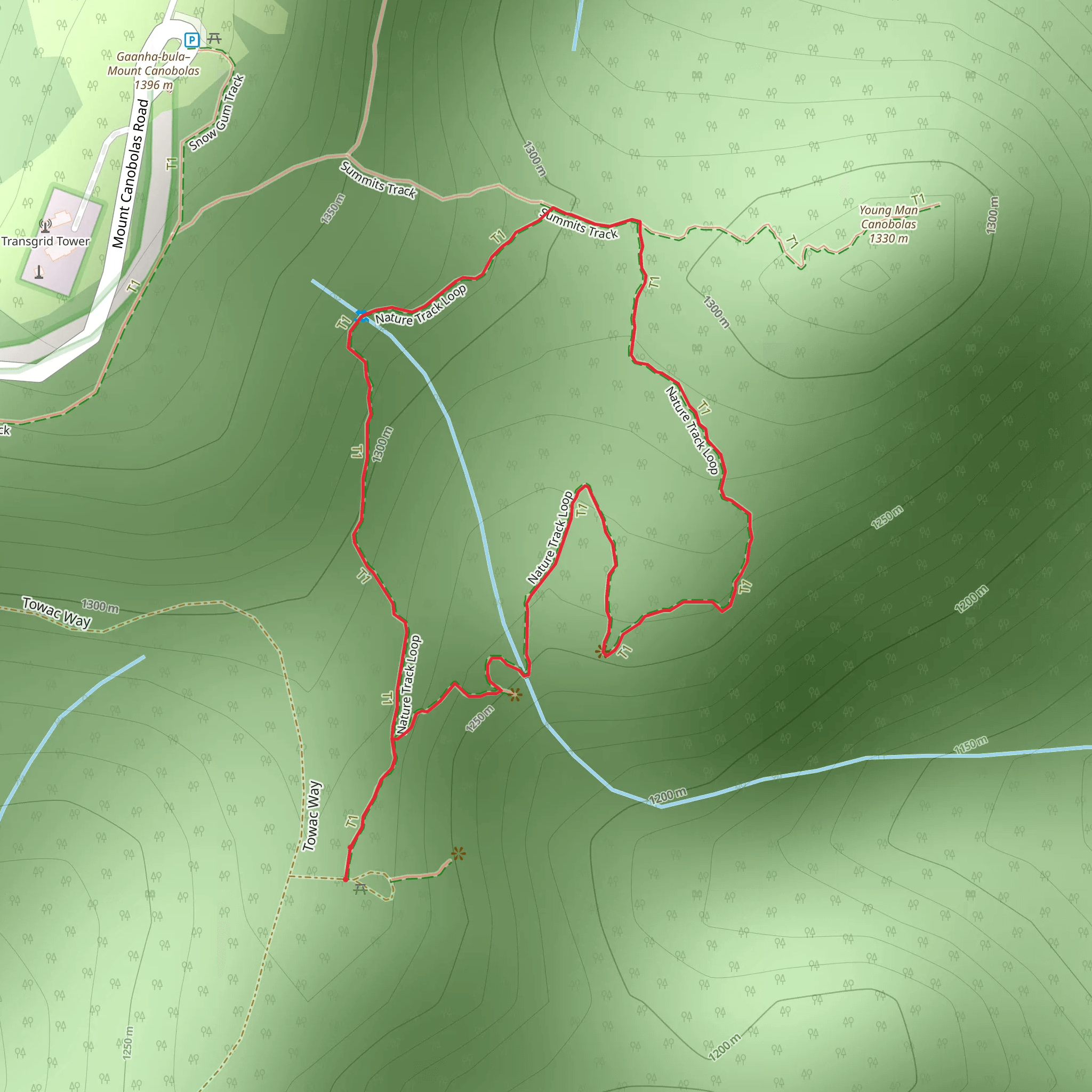 Nature Walking Track mobile static map