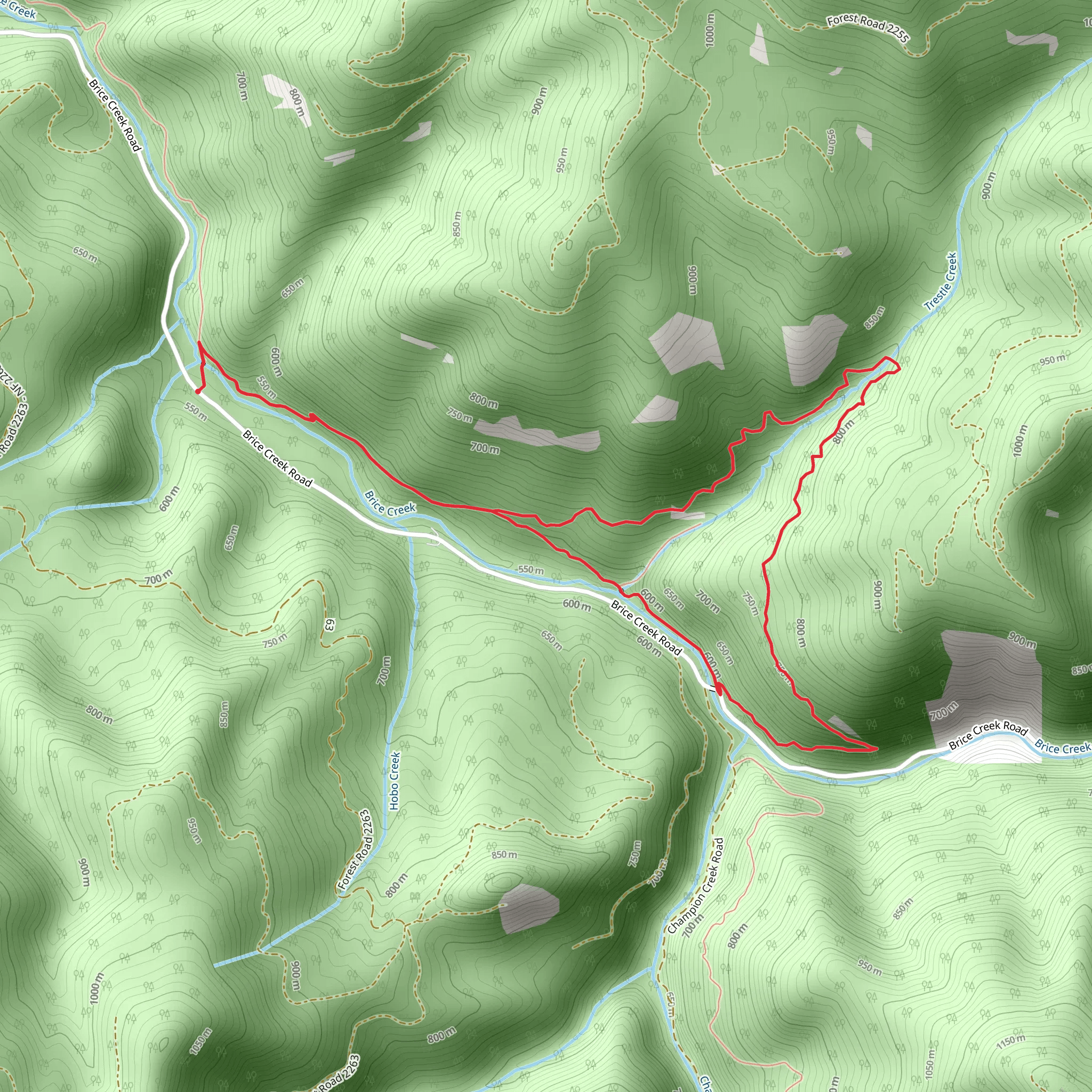 Trestle Creek Loop via Brice Creek Trail mobile static map