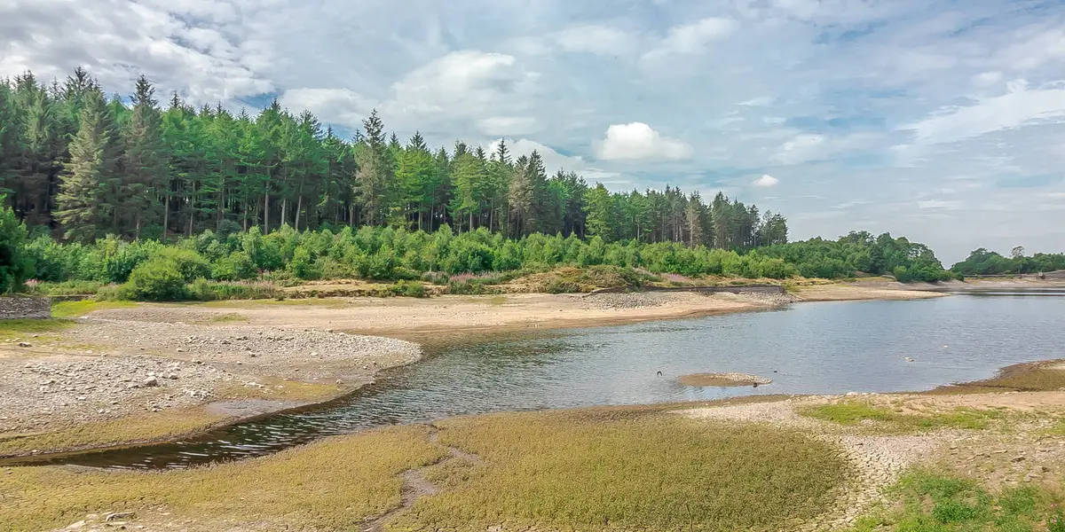 Macclesfield Forest - Teggsnose - Bottom and Ridgegate Reservoirs