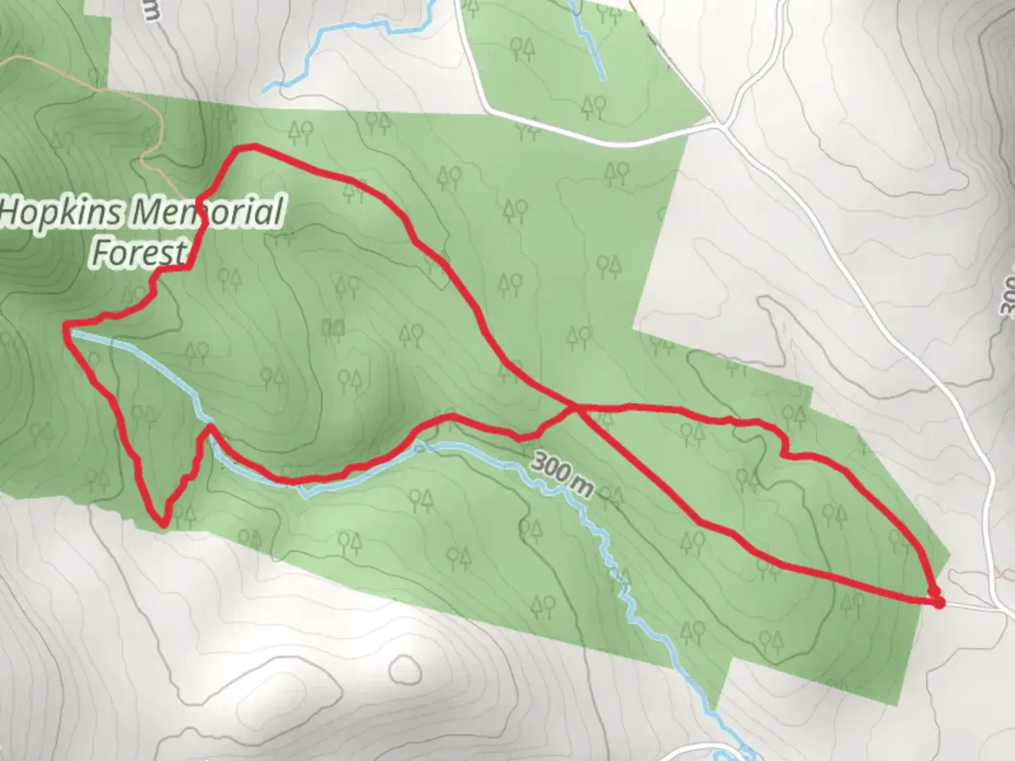 An image depicting the trail Hopkins Memorial Forest via Birch Brook Trail and its surrounding area.