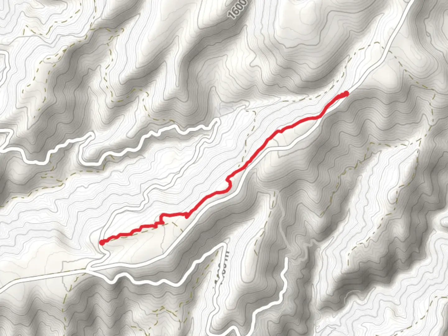 An image depicting the trail Pliocene Ridge Trail and its surrounding area.