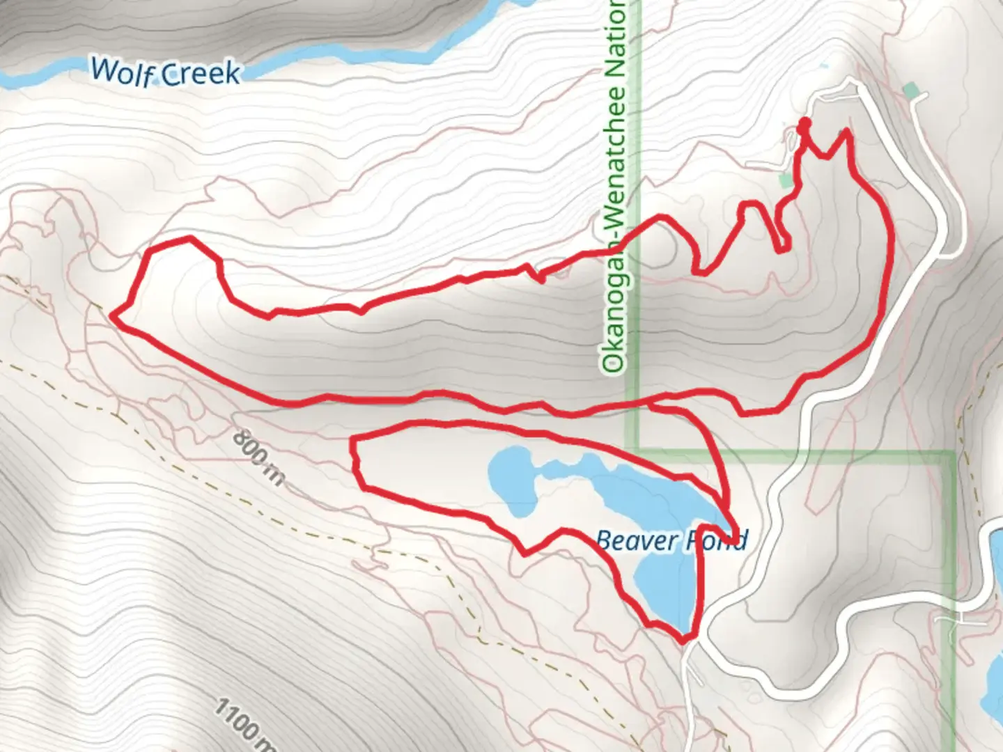 An image depicting the trail View Ridge, Beaver Pond and Sunnyside Loop and its surrounding area.
