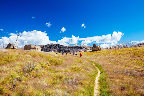 An image depicting the trail Dicksons Falls Nature Walk and its surrounding area.