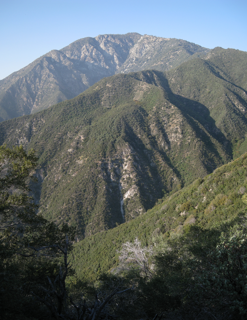 An image depicting the trail Iron Mountain Peak and Ellie Lane Loop Trail and its surrounding area.