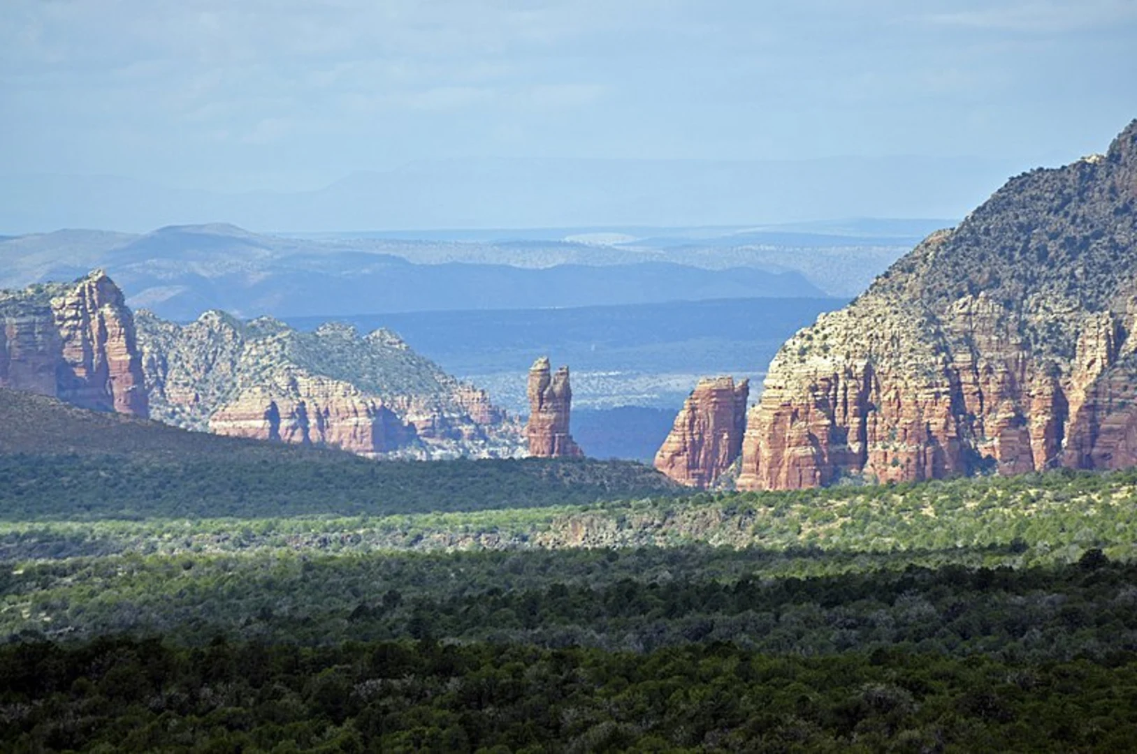 An image depicting the trail Brads Trail and its surrounding area.