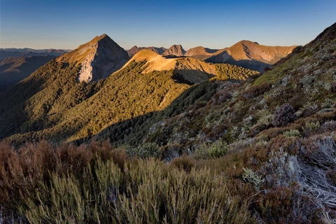 An image depicting the trail Wangapeka Track and its surrounding area.