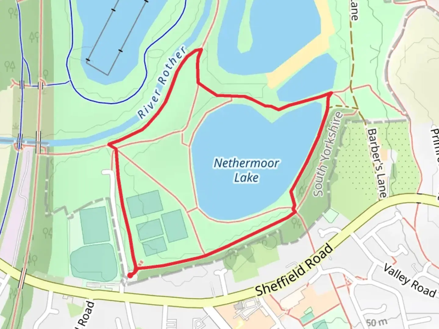 An image depicting the trail Nethermoor Lake Loop and its surrounding area.