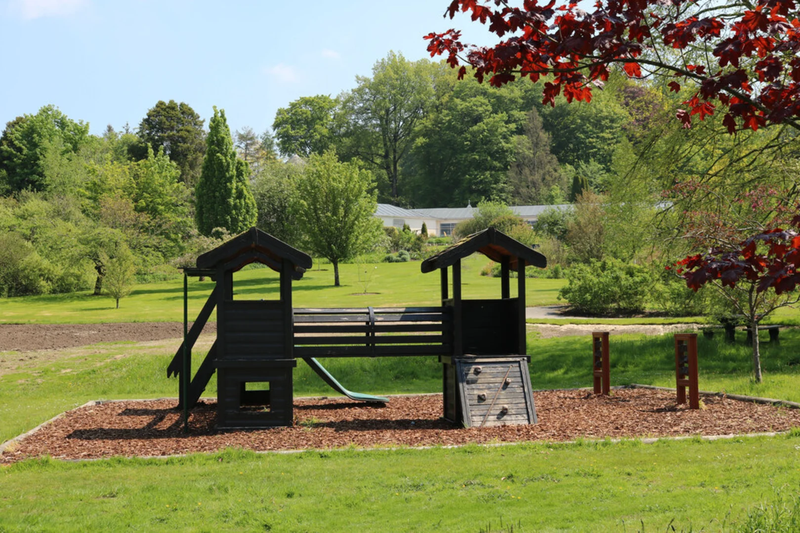 An image depicting the trail Threave Gardens and Carlingwark Loch Walk and its surrounding area.