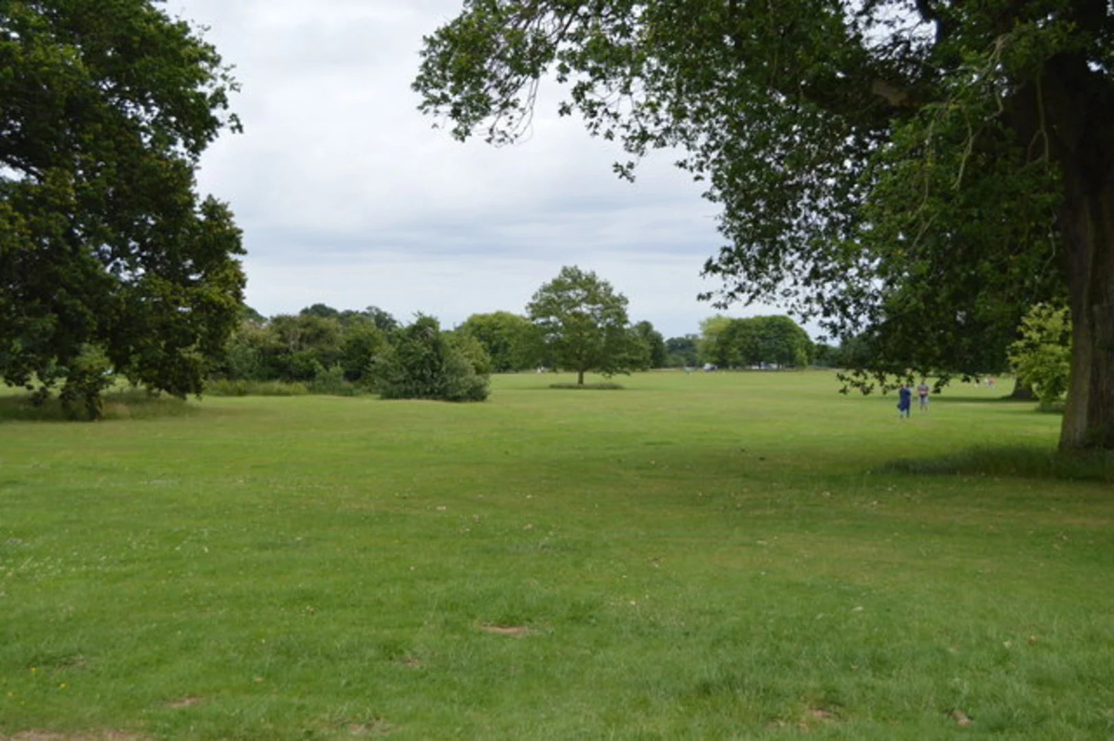 An image depicting the trail Market Bosworth Country Park Loop and its surrounding area.