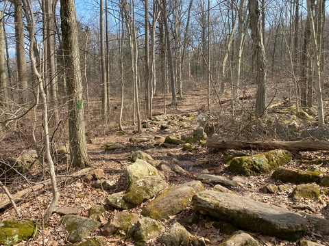 Middle Creek Conservation Trail Loop