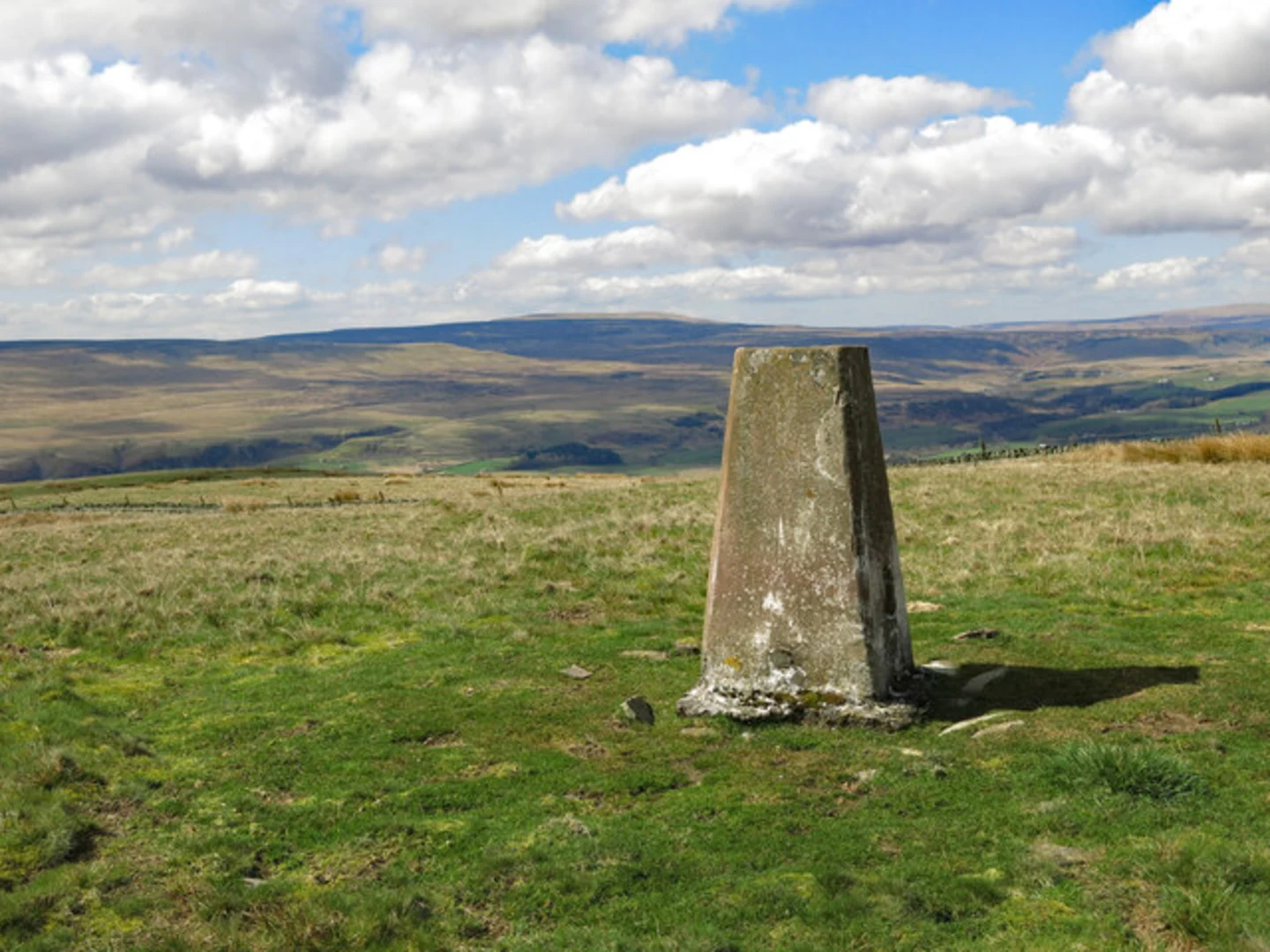 An image depicting the trail Skears Plantation and Hardberry Hill Loop and its surrounding area.