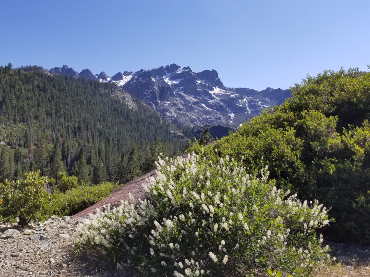 An image depicting the trail Tamarack Connection Trail and its surrounding area.