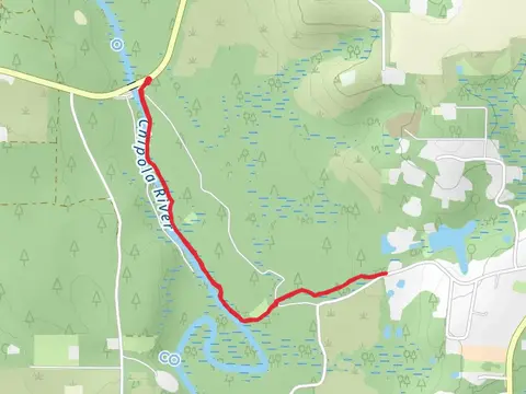 Chipola River Walk along via Florida Trail