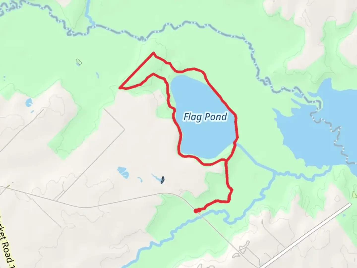 An image depicting the trail Flag Pond Loop and its surrounding area.