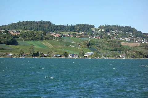Chemin du Lac de Morat