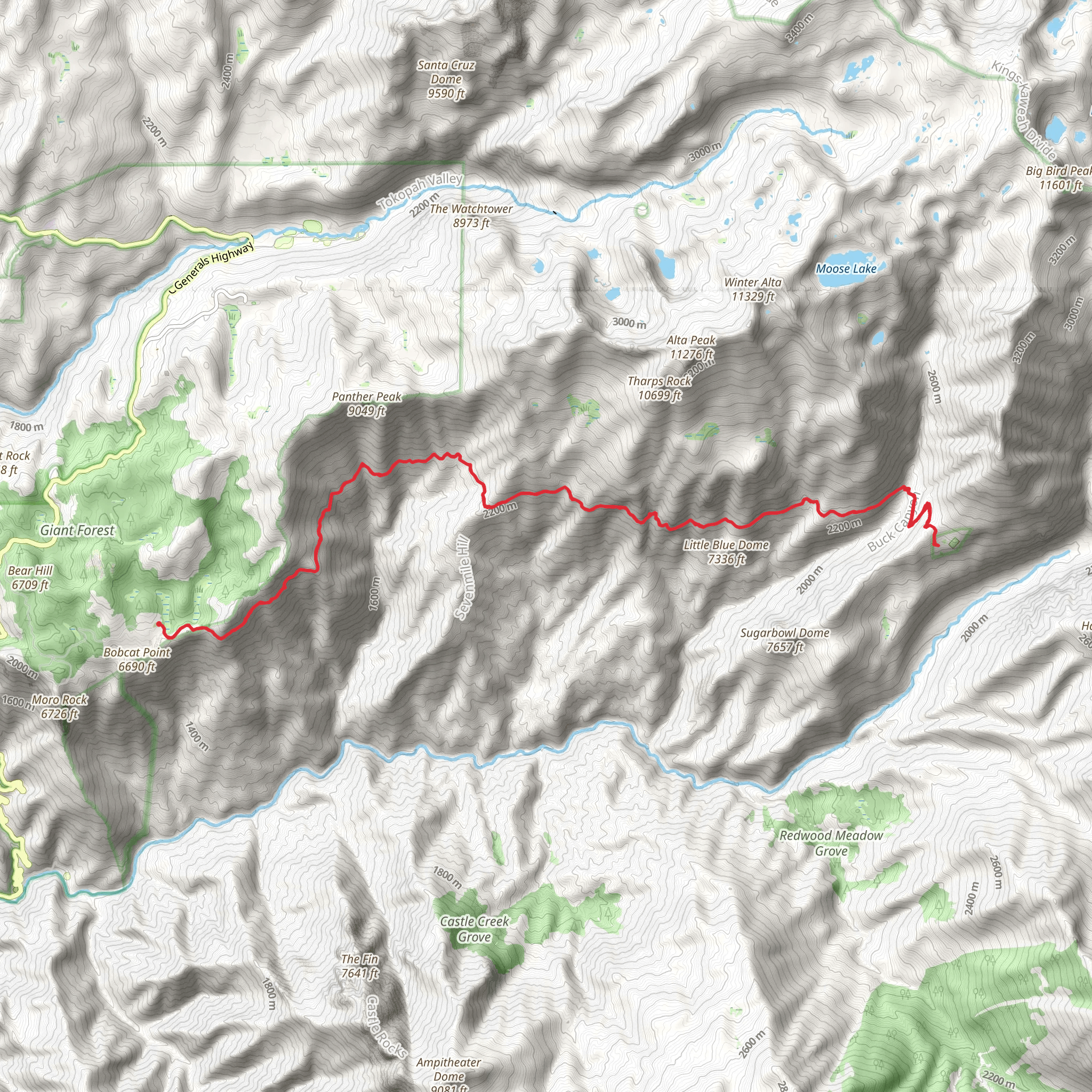 High Sierra Trail - Crescent Meadow Road mobile static map