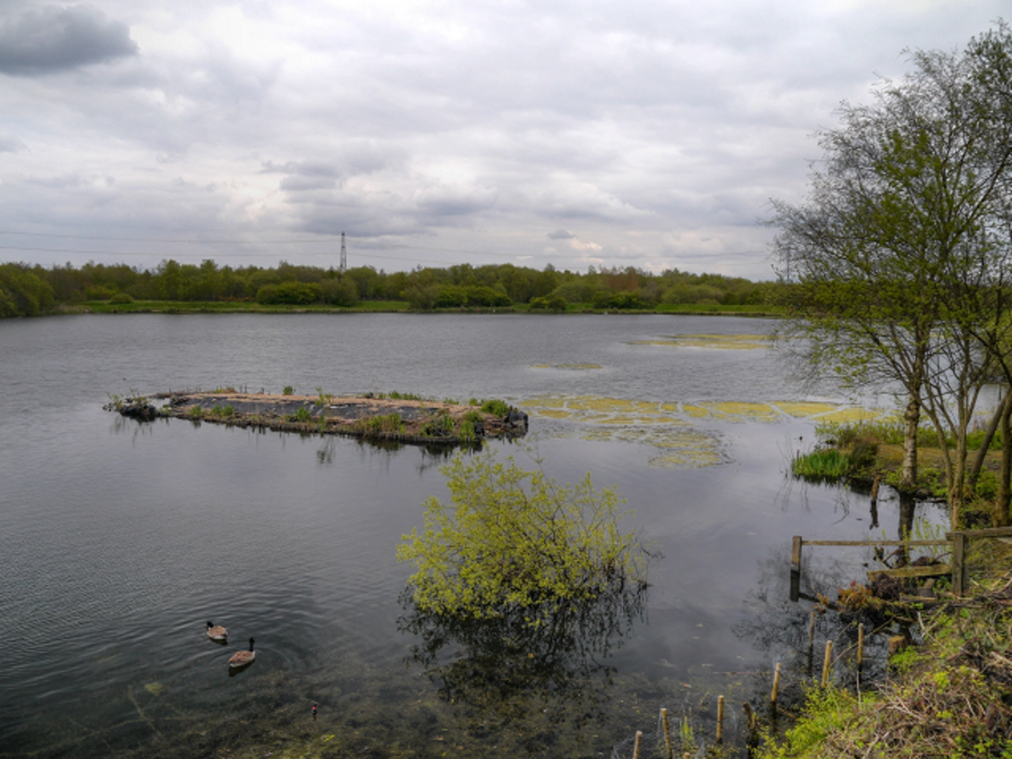An image depicting the trail Blackleach Reservoir via Linnyshaw Loopline and its surrounding area.
