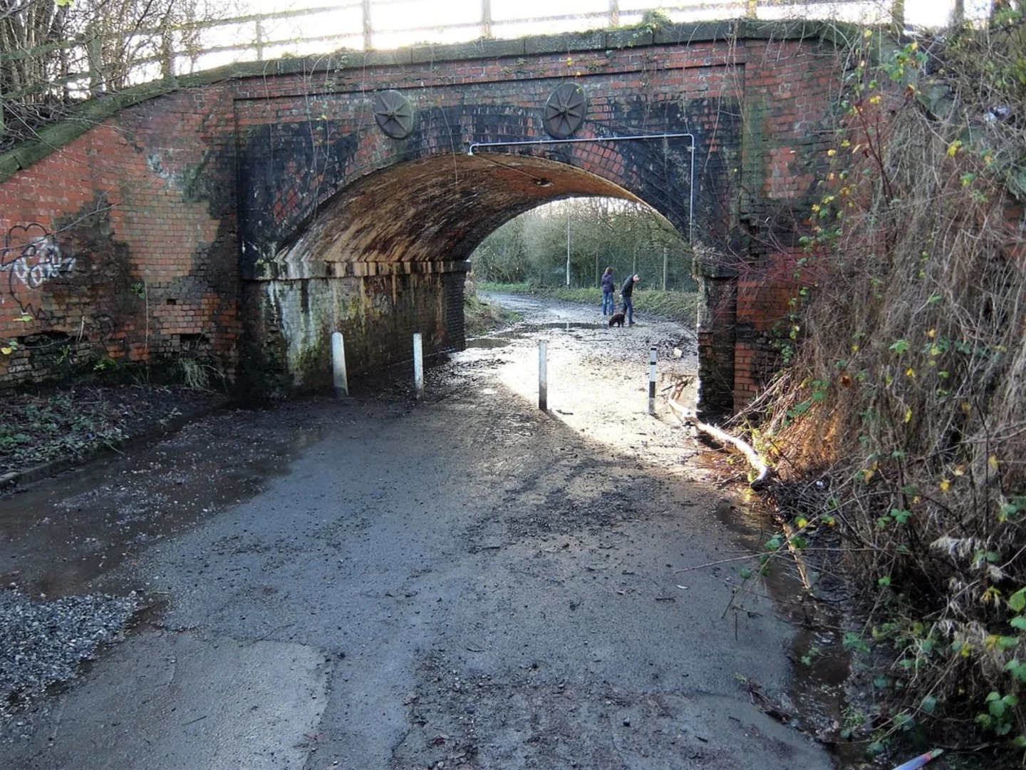 An image depicting the trail Leigh Brow Bridge and River Ribble and its surrounding area.