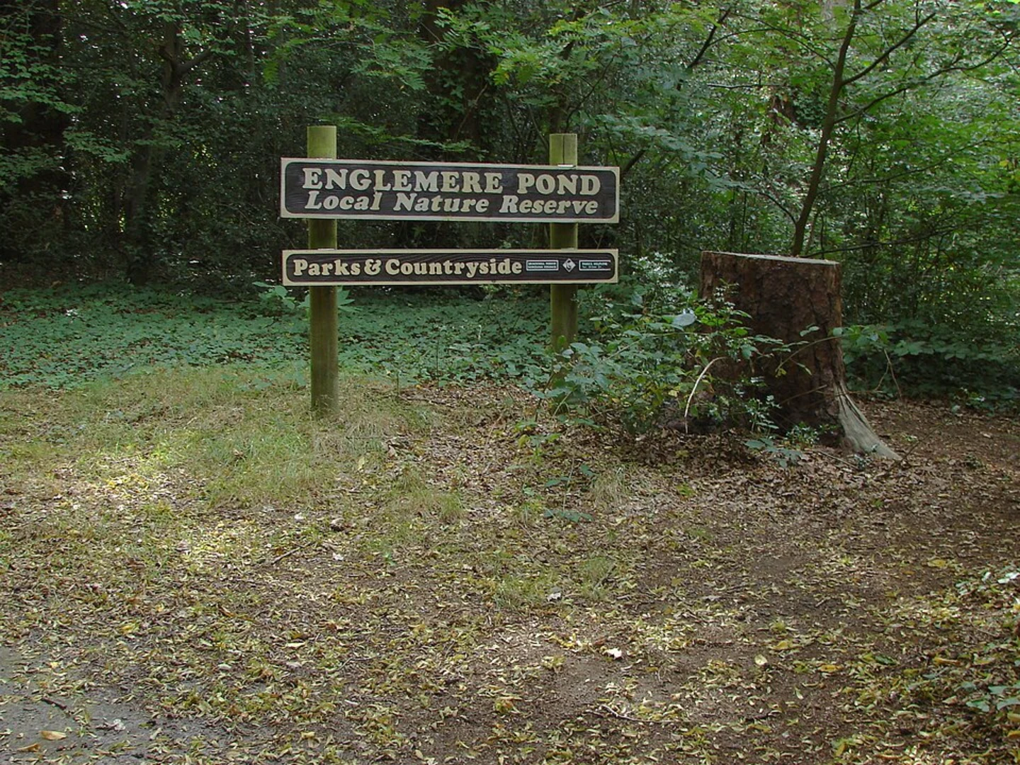 An image depicting the trail Martin Herons to Windsor Walk and its surrounding area.