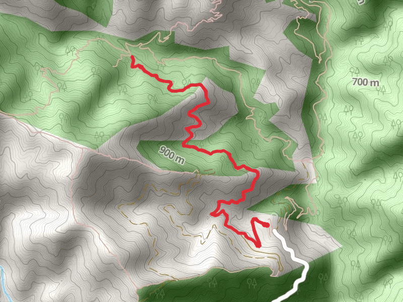 Upper Winter Creek Trail mobile static map