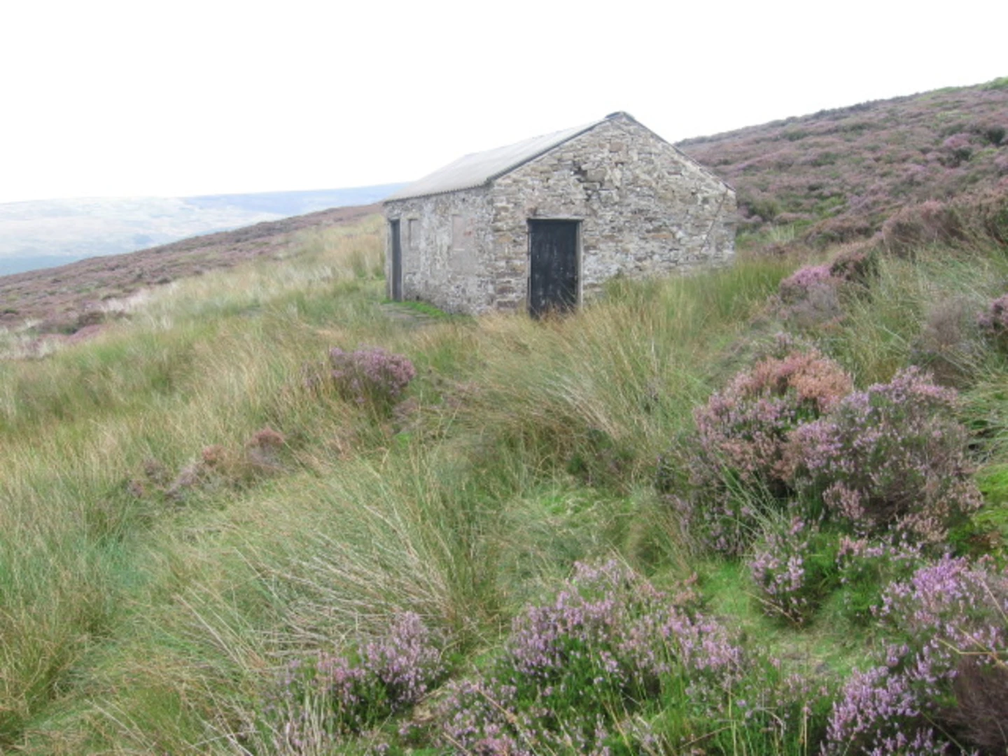 An image depicting the trail Bleaklow Head, Snake Pass and Mill Hill Loop and its surrounding area.