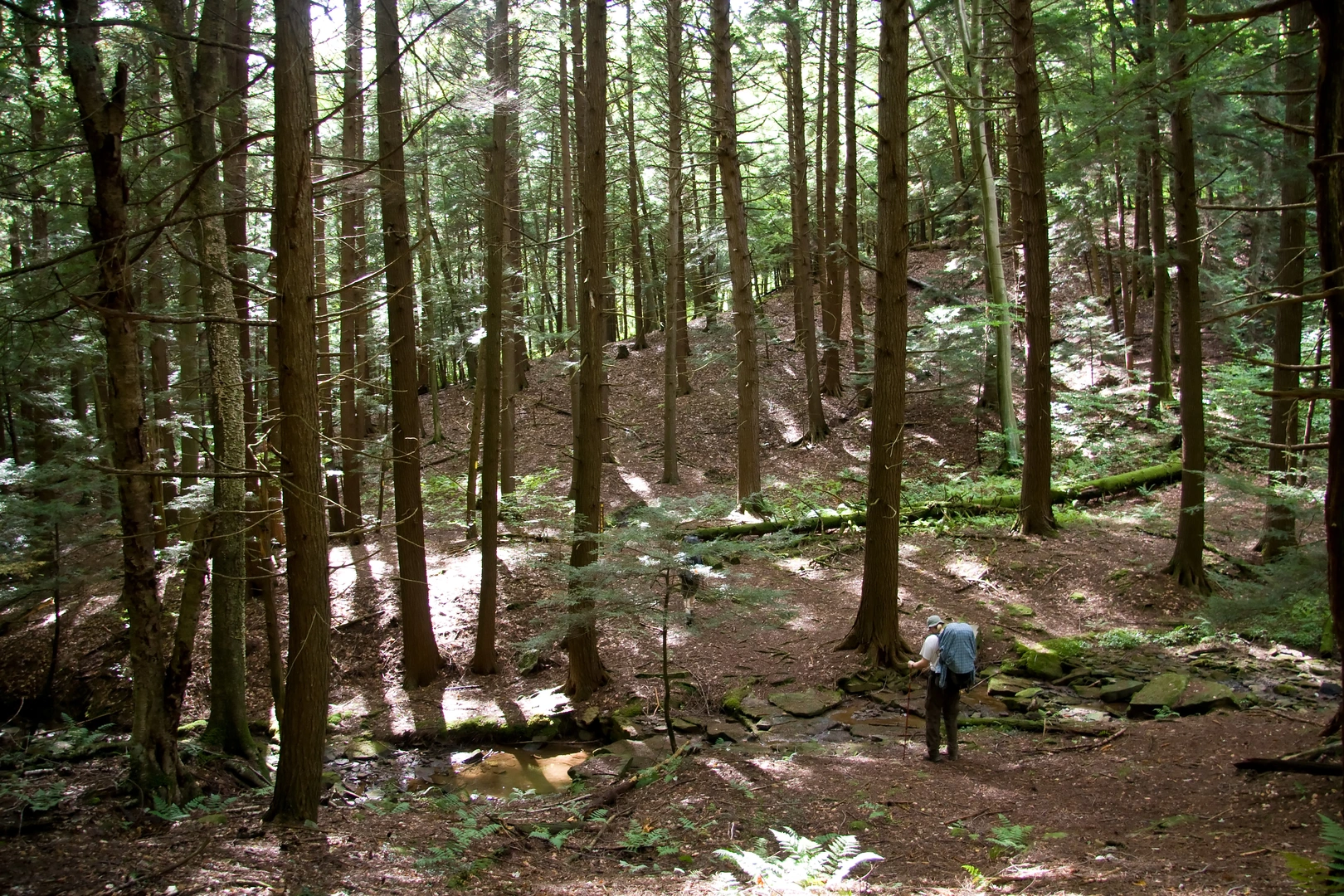 An image depicting the trail Oil Creek Trail and its surrounding area.
