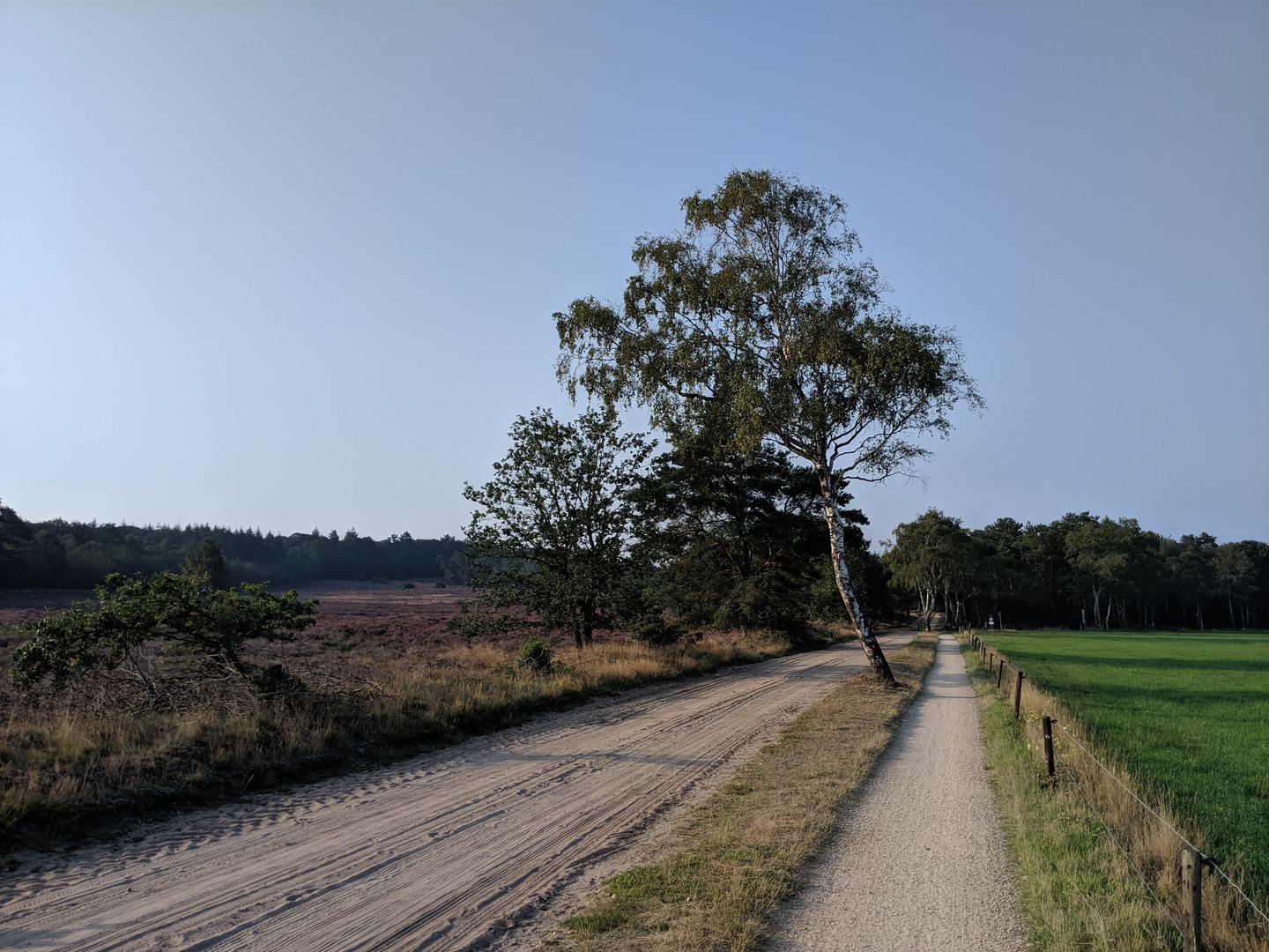 An image depicting the trail Haarle Loop and its surrounding area.