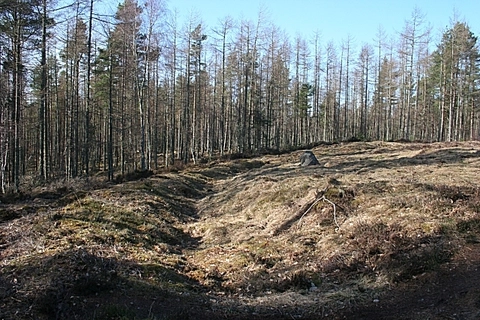 An image depicting the trail Elginia Loop from Quarrelwood Leggat and its surrounding area.