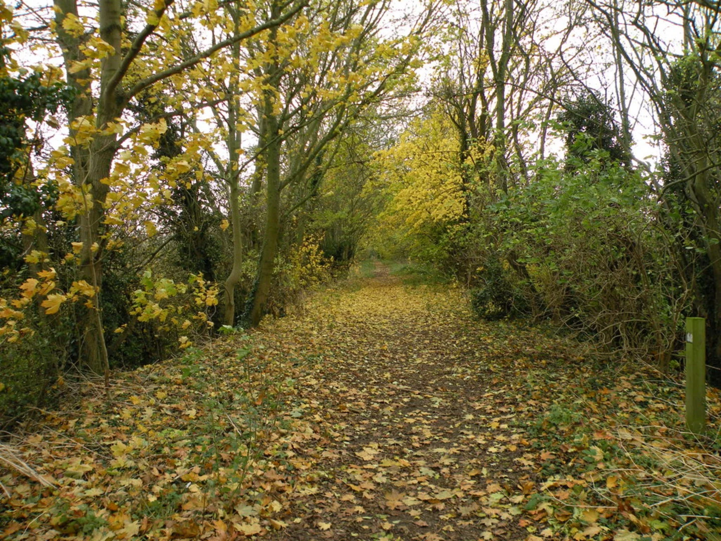 An image depicting the trail Haverhill to Kedington Loop and its surrounding area.
