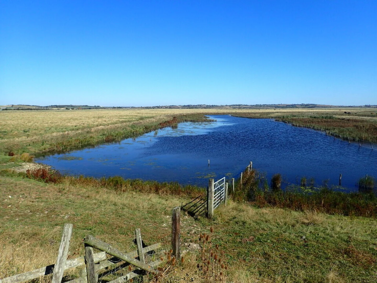 An image depicting the trail Elmley National Nature Reserve and its surrounding area.