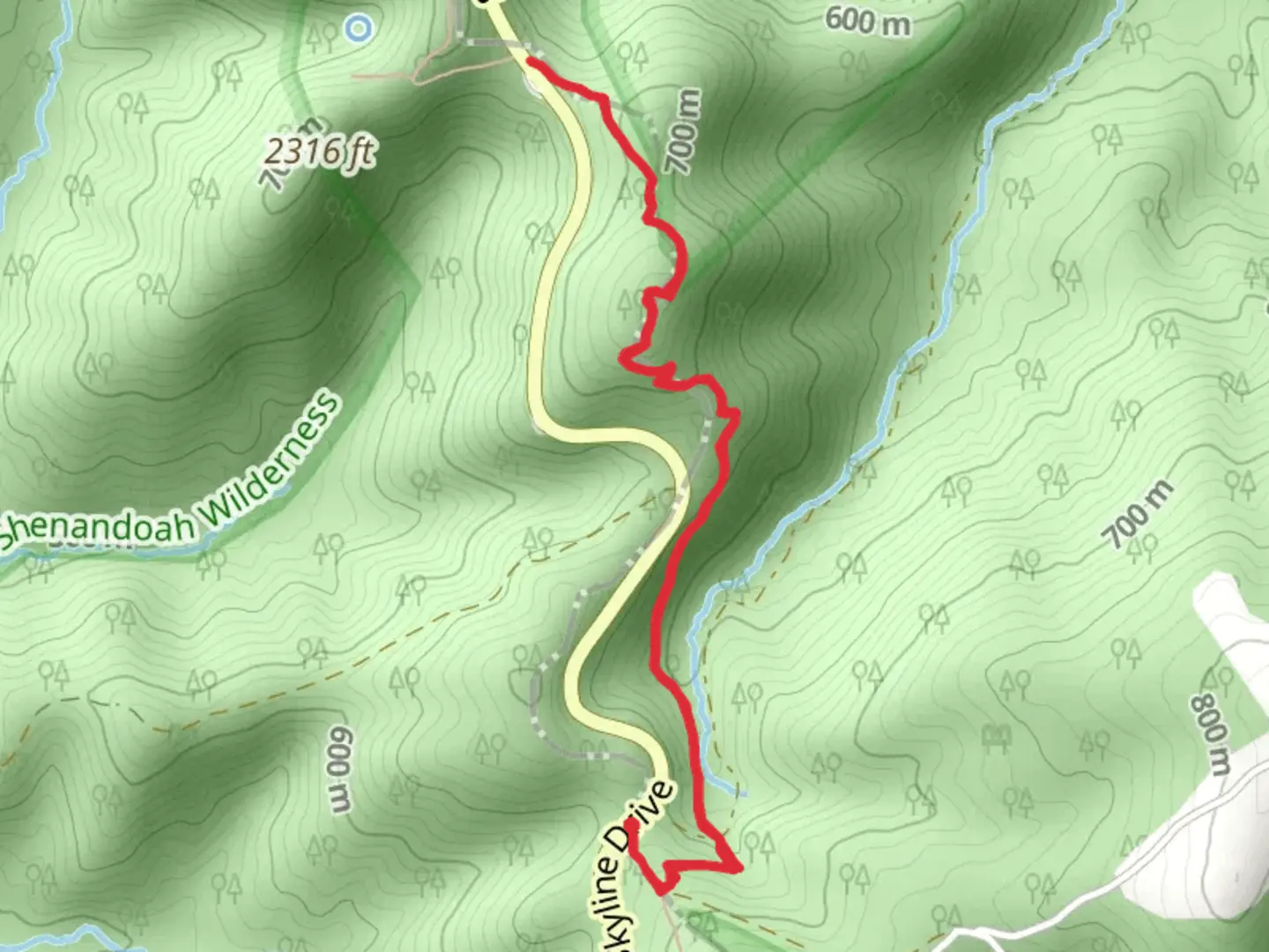 An image depicting the trail Appalachian Trail via Jarman Gap and its surrounding area.