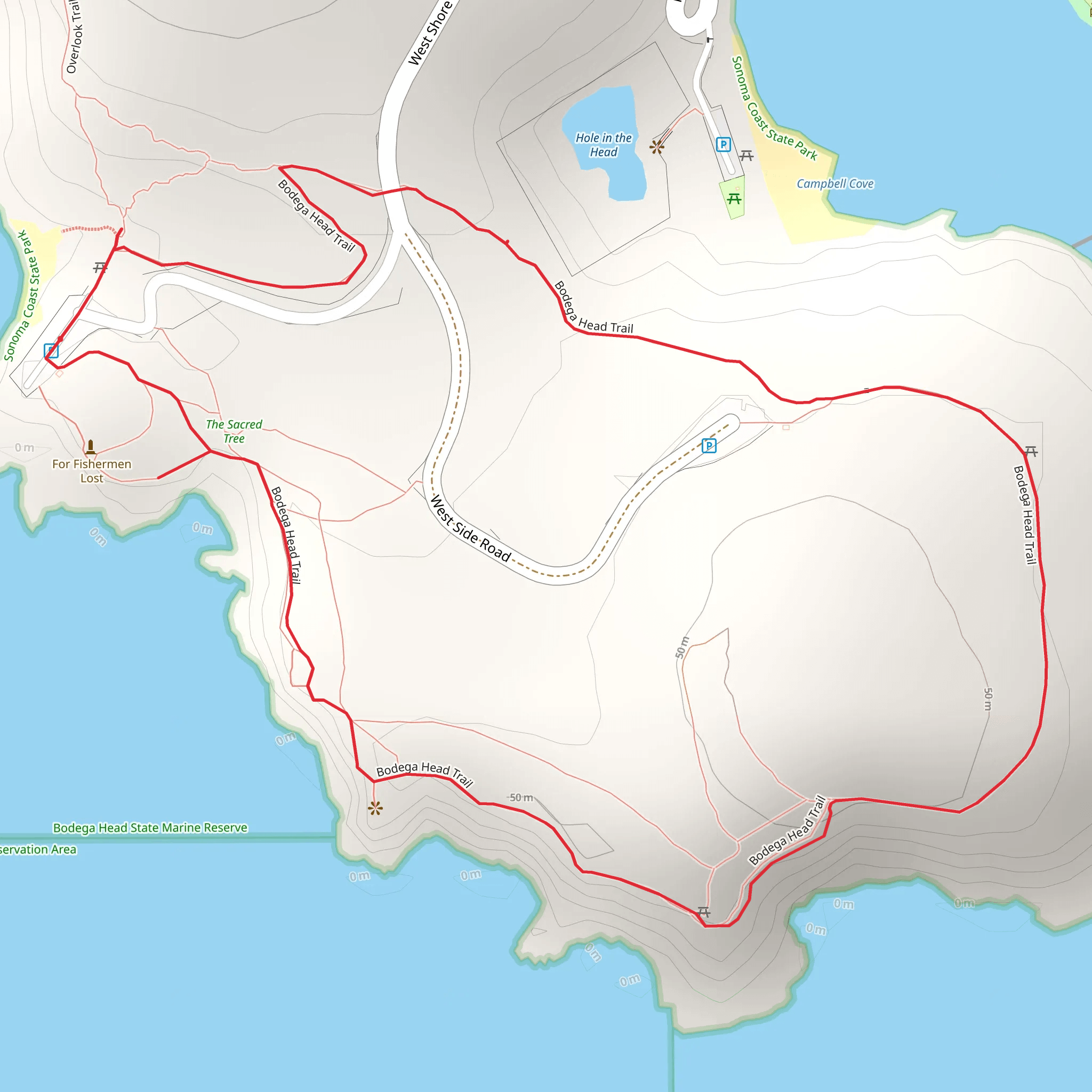 Bodega Head Loop Trail mobile static map