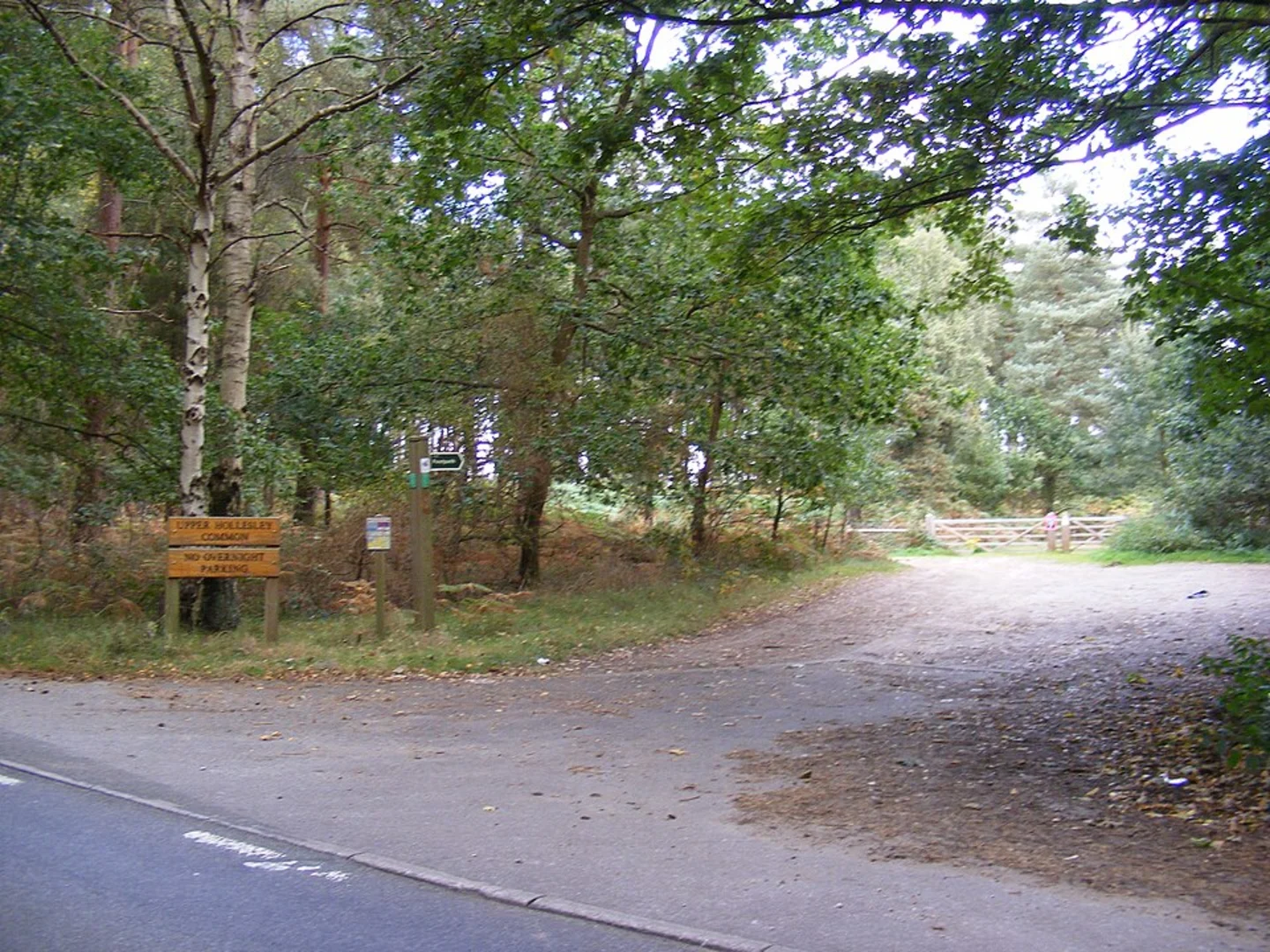 An image depicting the trail Rendlesham Forest Loop and its surrounding area.