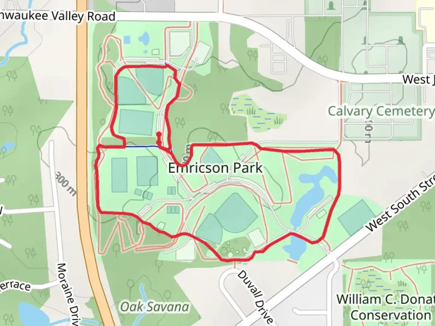 An image depicting the trail Emricson Park Loop and its surrounding area.