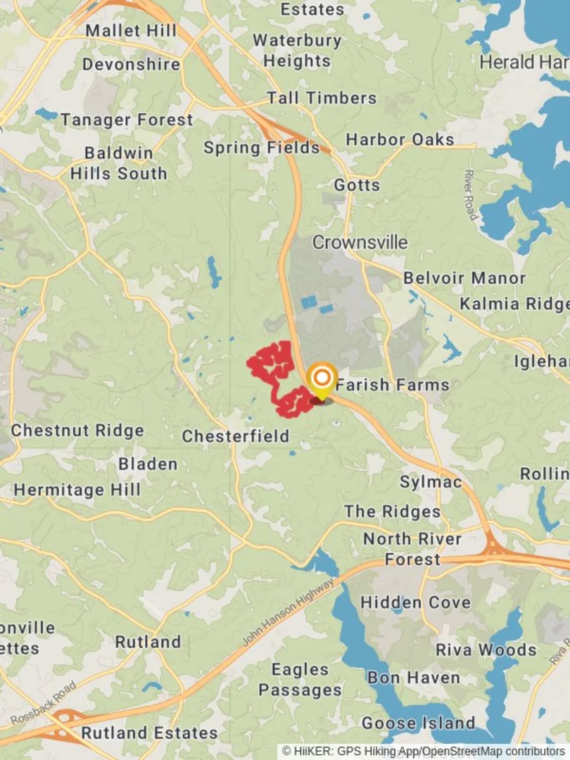 Box Turtle Thru T- Wolf Loop Trail Anne Arundel County Maryland