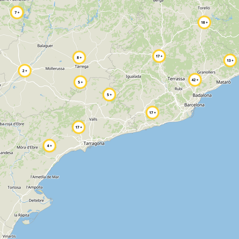 La Bisbal Del Penedès Static Map