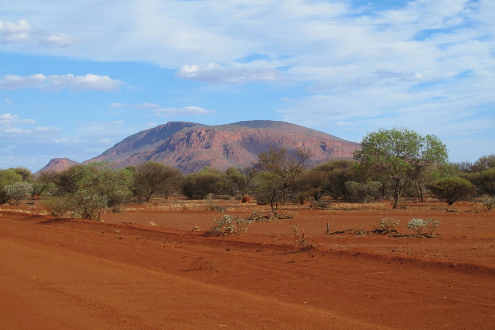 An image depicting the trail The Summit Trail and its surrounding area.